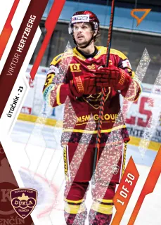 Hertzberg Viktor SportZoo Tipos II.série 2023-24 Goal Light 1of30 (red) č.301