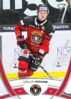 Collin Adams  SportZoo Tipos 2024-25 I.série Řadovka č.117