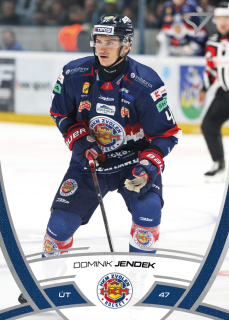 Dominik Jendek  SportZoo Tipos 2024-25 I.série Řadovka č.138