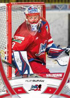 Filip Surák  SportZoo Tipos 2024-25 I.série Řadovka č.164