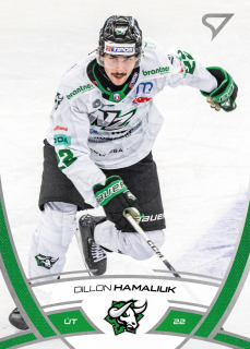 Dillon Hamaliuk  SportZoo Tipos 2024-25 I.série Řadovka č.192