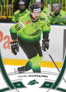Daniel Gachulinec  SportZoo Tipos 2024-25 I.série Řadovka č.202