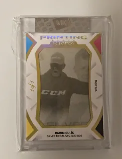 Rulík Radim The Gamers Extended 2024 Printing Plates 1of1 č.PP-RR