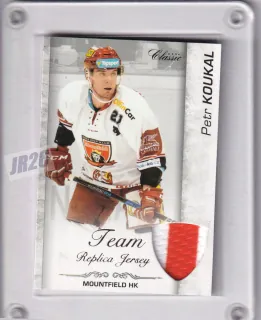 Koukal Petr OFS 2017-18 Team Replica Jersey /29 č.TRJ-35