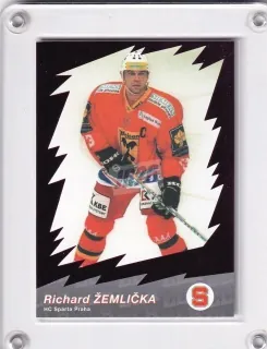Žemlička Richard OFS 2000-01 Star ELH Fialová č.9