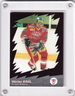 Král Václav OFS 2000-01 Star ELH Fialová č.13