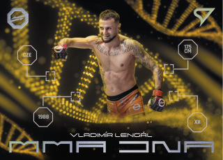 Vladimír Lengál  SportZoo MMA Oktagon 2024 MMA DNA č.MD-03