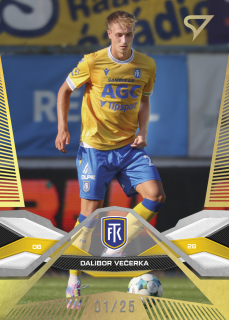 DALIBOR VEČERKA  SportZoo I.série 2025-26 Gold  /25 č.125
