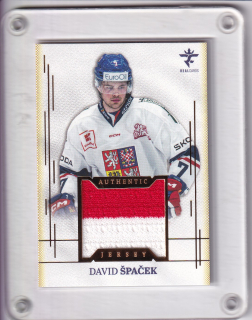 Špaček David Real Cards 2025/26 Authentic Jersey -Gold  /19 č.AJ-23