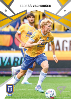 Tadeáš Vachoušek SportZoo Chance Liga 2024-25 II.série Řadovka č.279