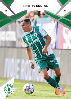Martin Dostál SportZoo Chance Liga 2024-25 II.série Řadovka č.324