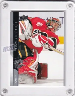 Rittich David Upper Deck  2020-21  č.30