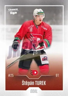 Turek Štěpán Goal Cards Dotisk 2022-23 Dotisk Řadovka č.481