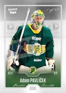 Pavlíček Adam Goal Cards Dotisk 2022-23 Dotisk Silver 1 of 60 č.413