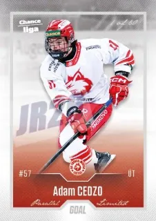 Cedzo Adam Goal Cards Dotisk 2022-23 Dotisk Silver 1 of 60 č.468