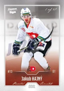 Hajný Jakub Goal Cards Dotisk 2022-23 Dotisk Silver 1 of 60 č.478