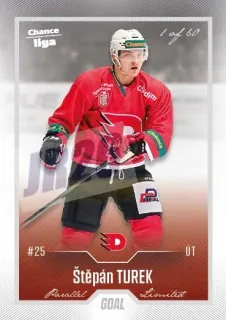 Turek Štěpán Goal Cards Dotisk 2022-23 Dotisk Silver 1 of 60 č.481