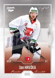 Hruška Jan Goal Cards Dotisk 2022-23 Dotisk Silver 1 of 60 č.482