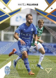 Matěj Pulkrab SportZoo Chance Liga 2024-25 /25 č.060