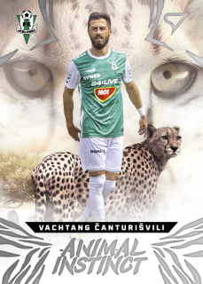 Vachtang Čanturišvili  SportZoo Chance Liga 2024-25 Animal Instinct  č.AI-24