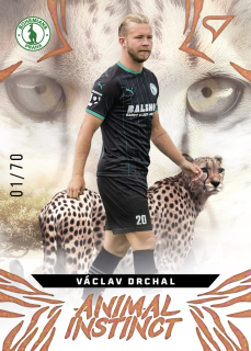 Václav Drchal  SportZoo Chance Liga 2024-25 Animal Instinct /70 č.AI-30