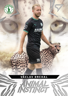 Václav Drchal  SportZoo Chance Liga 2024-25 Animal Instinct  č.AI-30