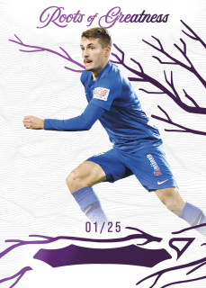Michal Sadílek  SportZoo Chance Liga 2024-25 Roots of Greatness /25 č.RG-07