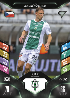 DAVID PUŠKÁČ  SportZoo Duel 2025-26  č.075