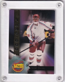 Dvořák Radek Signature Rookies Hockey 1994 č.39
