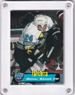 Grošek Michal EdGe Ice 1995 č.68