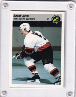 Hamr Radek Pro Hockey Classic 1993 č.142
