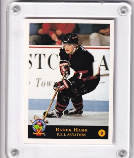 Hamr Radek Pro Hockey Prospects Classic 1994 č.87