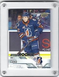 Lang Martin UD CHL 2018-19 č.308