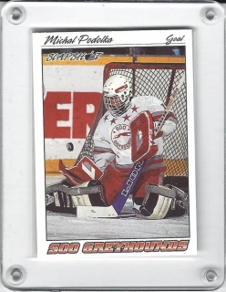 Podolka Michal Slapshot 1995-96 č.356