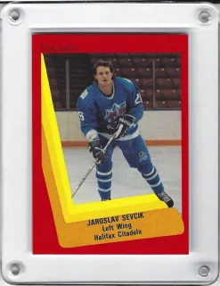 Ševčík Jaroslav ProCards 1990-91 č.460
