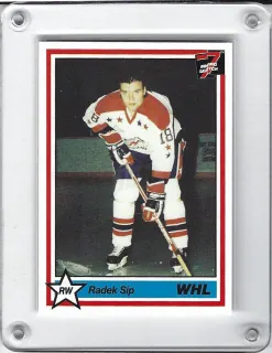 Šíp Radek 7th Inning Sketch WHL 1990-91 č.141