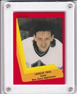 Trešl Ladislav ProCards 1990  č.433