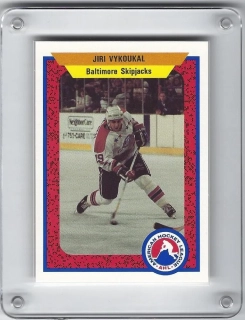 Vykoukal Jiří ProCards 1991-92  č.562