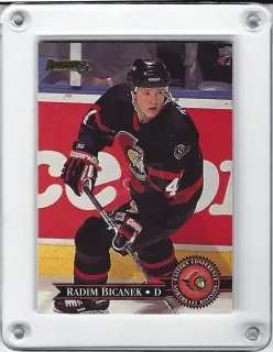 Bičánek Radim Donruss 1995-96 č.15