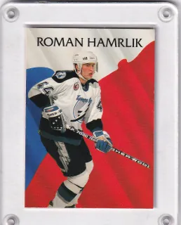 Hamrlík Roman Parkhurst 1992-93 č.443