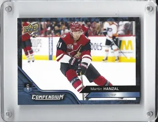 Hanzal Martin UD Compendium 2016-17 č.312