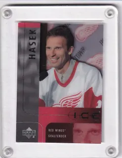 Hašek Dominik UD Ice 2001 č.16