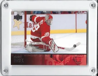 Hašek Dominik Upper Deck 2003-04 č.314