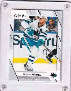Hertl Tomáš O-Pee-Chee 2023-24  č.79