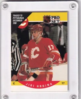 Hrdina Jiří Pro-set 1990-91  č.421