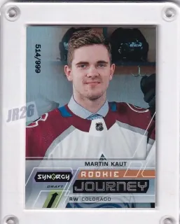 Kaut Martin Synergy 2020-21 Journey Draft Draft /999 č.RJ-MK