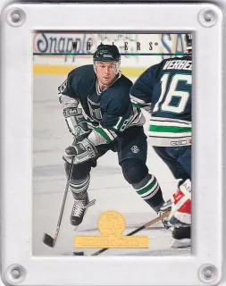 Kron Robert Leaf 1994-95 č.101