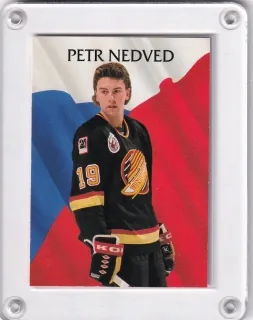 Nedvěd Petr Parkhurst 1992-93 č.449