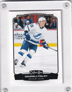 Palát Ondřej O-Pee-chee 2022-23 Foto Tampa Bay č.339