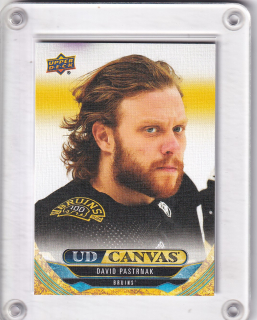 Pastrňák David Upper Deck 2024-25 Canvas č.C-71